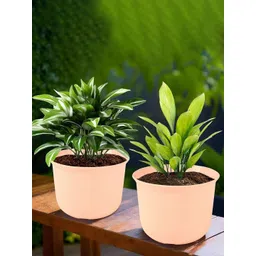 HOMESTIC Pack of 2 Marble Sawera Design 10 Inch Flower Plant Pot with Plate for Home & Garden | Stylish Pots for Plants Balcony | Ideal for Home Decor & Office Spaces | Peach-picture-27