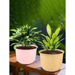 HOMESTIC Pack of 2 Marble Sawera Design 10 Inch Flower Plant Pot with Plate for Home & Garden | Stylish Pots for Plants Balcony | Ideal for Home Decor & Office Spaces | Pink & Beige-picture-30