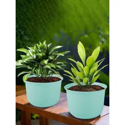 HOMESTIC Pack of 2 Plain Sawera Design 10 Inch Flower Plant Pot with Plate for Home & Garden | Stylish Pots for Plants Balcony | Ideal for Home Decor & Office Spaces | Sky Blue image 1