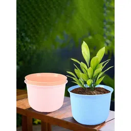 HOMESTIC Pack of 3 Marble Sawera Design 10 Inch Flower Plant Pot with Plate for Home, Kitchen & Garden | Pots for Balcony | Ideal for Home Decor & Office Spaces | Blue, Pink & Peach-picture-41