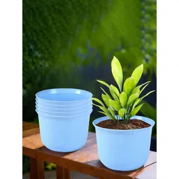 HOMESTIC Pack of 6 Marble Sawera Design 10 Inch Flower Plant Pot with Plate for Home & Garden | Stylish Pots for Plants Balcony | Ideal for Home Decor & Office Spaces | Blue-picture-24