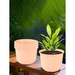 HOMESTIC Pack of 6 Marble Sawera Design 10 Inch Flower Plant Pot with Plate for Home & Garden | Stylish Pots for Plants Balcony | Ideal for Home Decor & Office Spaces | Peach-picture-22