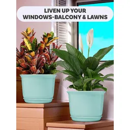 HOMESTIC Pack of 6 Plain Sawera Design 10 Inch Flower Plant Pot with Plate for Home & Garden | Stylish Pots for Plants Balcony | Ideal for Home Decor & Office Spaces | Sky Blue image 2