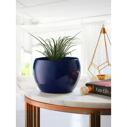 Homspurts Blue Round Metal Planter-picture-39