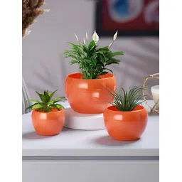 Homspurts Orange 3 Pieces Table Top Planters-picture-13