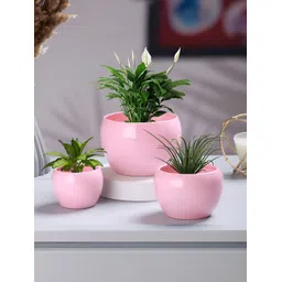 Homspurts Pink 3 Pieces Table Top Planters-picture-16