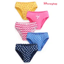 Honeyhap Premium Cotton Super Soft Stretchable Panties with Silvadur Finish Floral Print Pack of 5 - Maize Marina Sachet Limoges Pink Carnation-picture-35