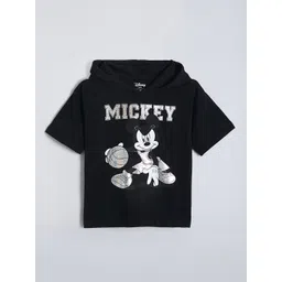 Hopscotch Boys Tshirts-picture-35