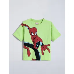 Hopscotch Boys Tshirts-image-17