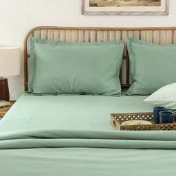 house this Green 610 TC Cotton Double Size Bedsheet-picture-15