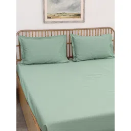 House This Sage Green Cotton 600 TC Queen Fitted Bedsheet with 2 Pillow Covers-picture-38
