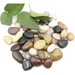 KAJUMIXED-10KG Polished Asymmetrical Rock Pebbles-image-22