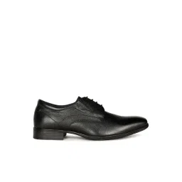Hush Puppies by Bata Men's Black Derby Shoes-picture-21