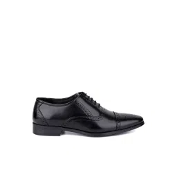 Hydes N Hues Men's Black Brogue Shoes-picture-34