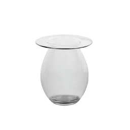 IAAH Modest Transparent Decorative Glass Flower Vase-picture-36