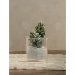 IAAH Transparent Voir Decorative Glass Vase-picture-18