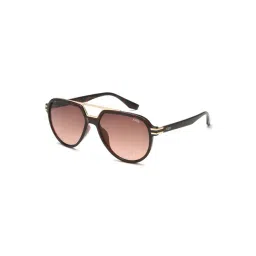 IDEE Brown Aviator UV Protection Sunglasses for Men-picture-21