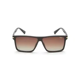 IDEE Brown Square Sunglasses for Men-picture-46