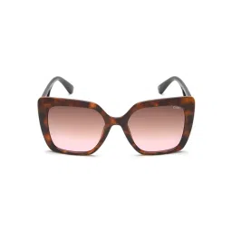 IDEE Brown Square UV Protection Sunglasses for Women-picture-24