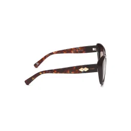 IDEE Brown Square UV Protection Sunglasses for Women image 4
