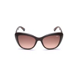 IDEE Brown Square UV Protection Sunglasses for Women image 2