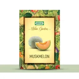 IFFCO Urban Gardens 10g Muskmelon Fruit Seeds-picture-42