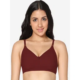 In Care All Day Comfort Full Coverage Non Padded Cotton T-shirt Bra-picture-27
