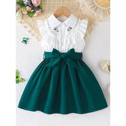 INCLUD Floral Print Shirt Dress-picture-54