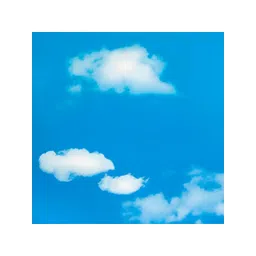 INDIAN ROYALS Blue & White Printed Self-Adhesive & Durable Wall Sticker-picture-22