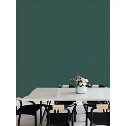 INDIAN ROYALS Green Self-Adhesive & Durable Wall Sticker-image-5