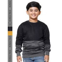 IndiWeaves Boys Pack Of 2 Colourblocked Long Sleeves Fleece Sweatshirt-picture-13