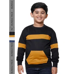 IndiWeaves Boys Pack Of 2 Colourblocked Long Sleeves Fleece Sweatshirt-picture-16