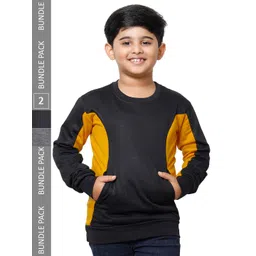 IndiWeaves Boys Pack Of 2 Colourblocked Sweatshirt-picture-46