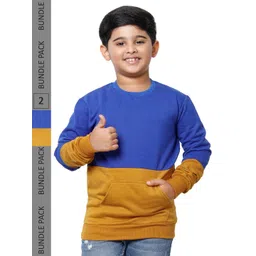 IndiWeaves Boys Pack of 2 Colourblocked Sweatshirt-picture-17