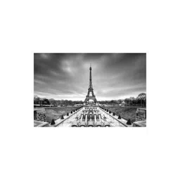 Inephos Grey And Black 1 Piece Printed Canvas Wall Art-picture-16