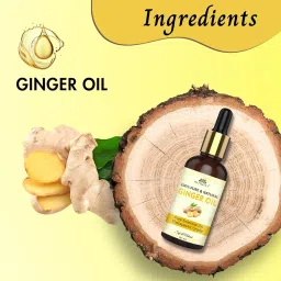 INTIMIFY Ginger Oil For Weight Loss Belly Fat, Fat Loss Oil (30 ml) image 3