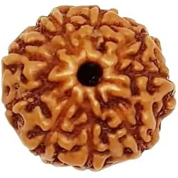 iris gems No Mukhi Rudraksha Original Certified 9 Face Rudraksha Small Size 9 Mukhi Rudraksha Indonesian Nine Mukhi Rudraksha With Pendant Or Laal Dori Navmukhi Rudraksha Natural Java Rudraksha Round Bead Energized 9 मुखी रुद्राक्ष Blessing Form Goddess Durga Maa-picture-39