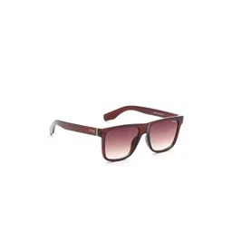 IRUS by IDEE Men Lens & Square Sunglasses with UV Protected Lens-picture-26