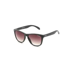 Irus Brown Oval Sunglasses For Men-picture-19