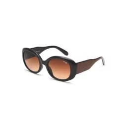 Irus Brown Oval UV Protection Sunglasses for Women image 1