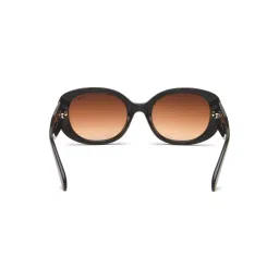 Irus Brown Oval UV Protection Sunglasses for Women image 5