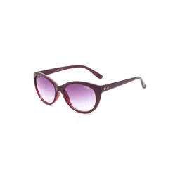 Irus Dark Grey Cat Eye Sunglasses For Women-picture-27