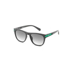Irus Green Oval Sunglasses For Men-picture-15