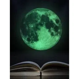Jaamso Royals Green Round Moon Shaped  Decorative Peel and Stick Self Adhesive Wallsticker-picture-11