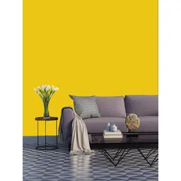 Jaamso Royals Yellow Solid Self Adhesive Wallpaper-picture-20