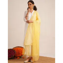 JAYPORE Dyed Pure Cotton Leheriya Dupatta-picture-38