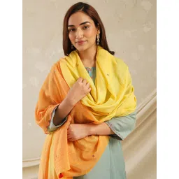 JAYPORE Geometric Embroidered Cotton Silk Dupatta-picture-32