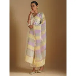 Jaypore Multicolour Striped Hand Woven Dupatta-picture-11