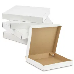 Jia Industries 8 inch White Pizza Box (Pack of 100 Box)-picture-18