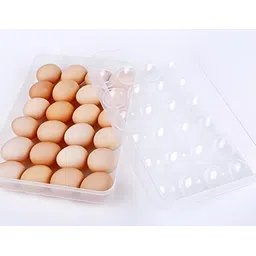 jinila Egg container Egg Holder-picture-15